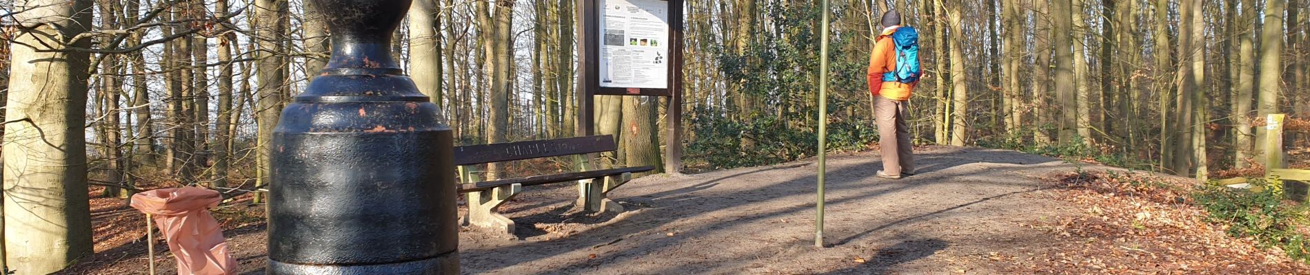 Trail Walking Braine-le-Comte - Balade dans la Bois de la Houssière - Henripont - Photo