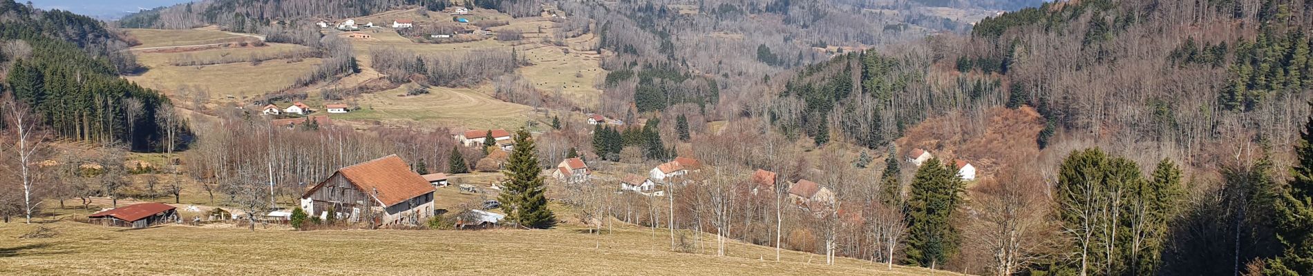 Trail Walking Mandray - Journaux Fraize reconnue - Photo