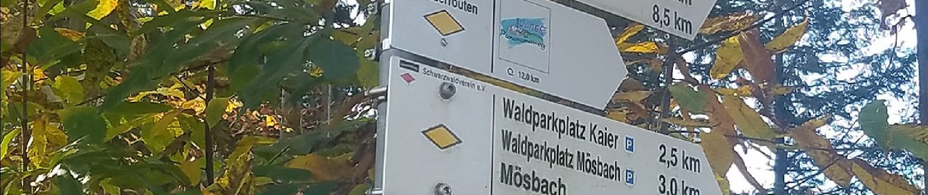 Excursión A pie Kappelrodeck - Ortenauer Weinschleife - Schwarzwald-Vogesen-Panoramarunde - Photo