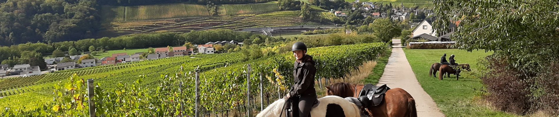 Trail Horseback riding Sierck-les-Bains - crte-Sierck-Manderen-Apach - Photo