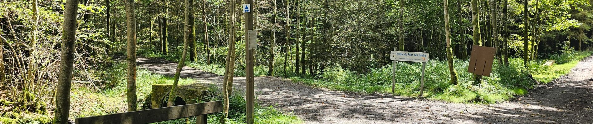 Randonnée Marche Bièvre - Promenade de la Roche Mouselle - Petit-Fays - Photo