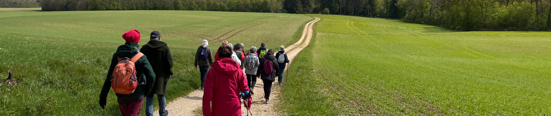 Trail Walking Laville-aux-Bois - Laville aux bois - Photo