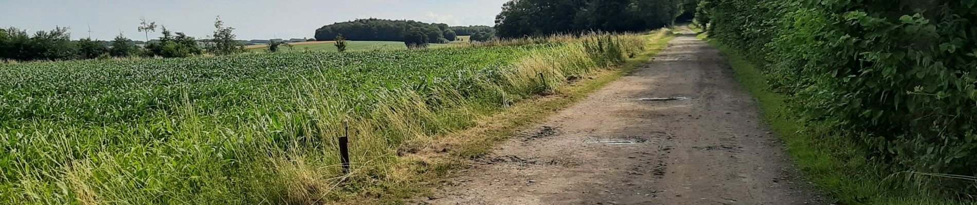 Tocht Stappen Dinant - FOY GPX BERLAGE - Photo