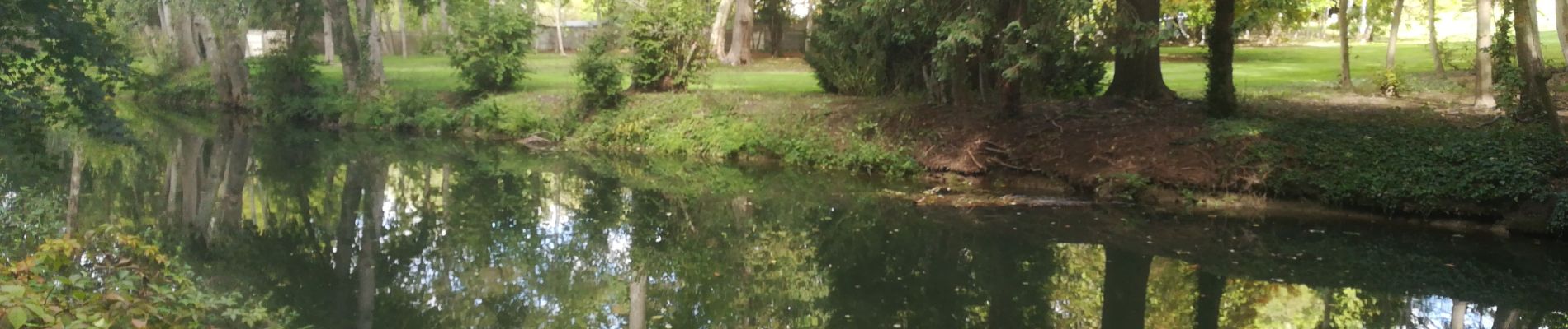 Tour Wandern Brunoy - Le Réveillon à l'Abbaye  - Photo