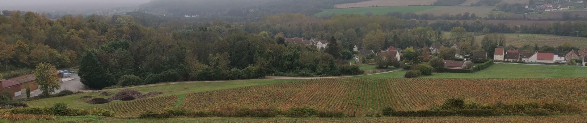 Tour Wandern Dormans - RP51-05 Dormans à Château-Thierry - Photo