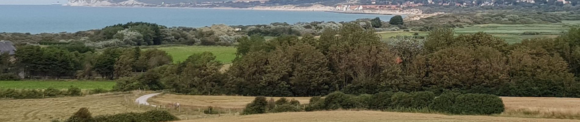 Tocht Te voet Audinghen - circuit du cap gris nez à Wissant - Photo