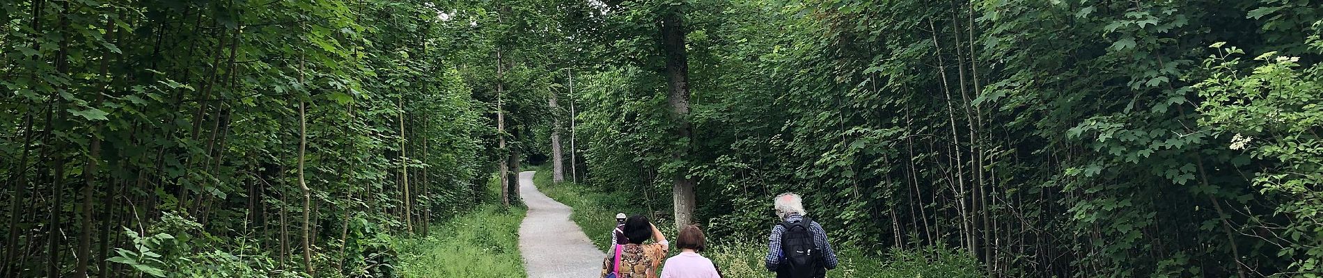 Excursión A pie Desconocido - Rundweg A2 (Schellenberger Wald) - Photo