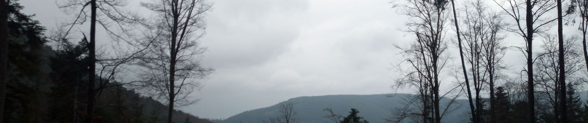 Tocht Stappen Rosheim - Tour du Schwartzkopf et Fackenkopf - Photo