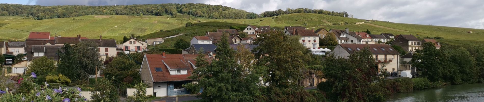 Tour Wandern Germaine - RP51-02 Les Haies à Mardeuil - Photo