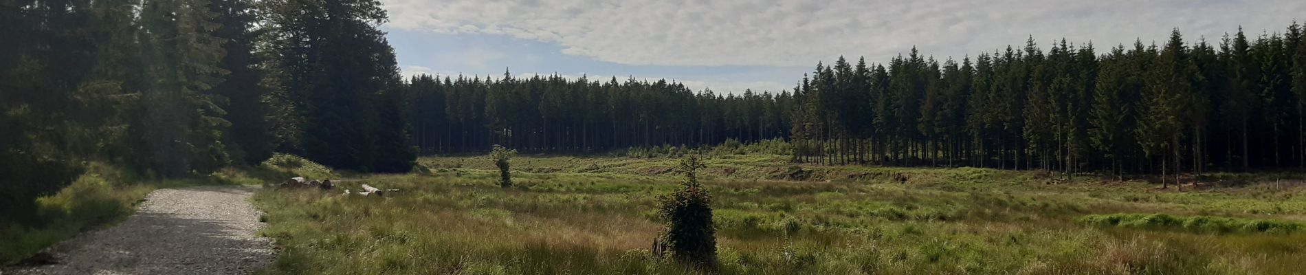 Tocht Stappen Baelen - hestreux  14 km  - Photo