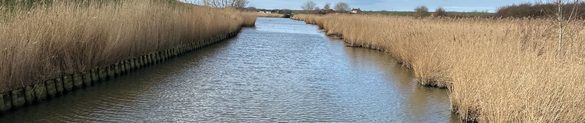 Randonnée Marche Sluis - Cadzand Bad Niewvliet Bad Zwarte polders 16,3 km - Photo