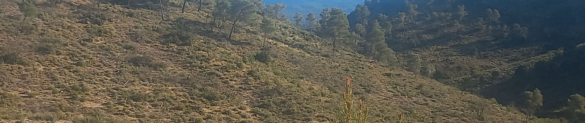 Tocht Stappen La Bastidonne - Les Bruisserettes - Photo