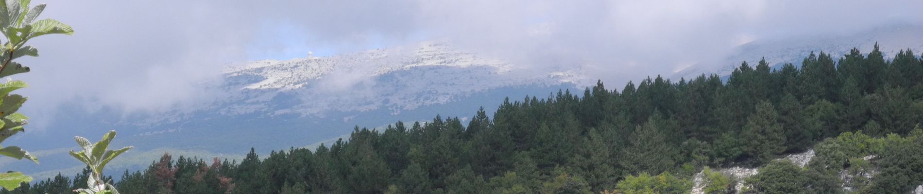 Tocht Stappen Flassan - PF-Flassan - La Combe de Canaud - Photo