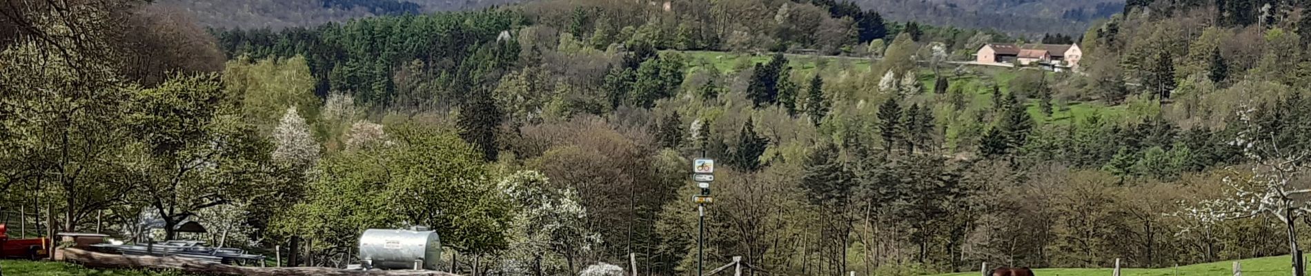 Tocht Stappen Lembach - L'embaucher gimbelhof - Photo