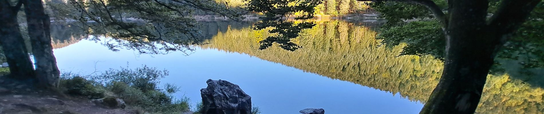 Tour Wandern Woll - VOSGES 2023 - Jour 1 - Le Lac aux Corbeaux - Photo