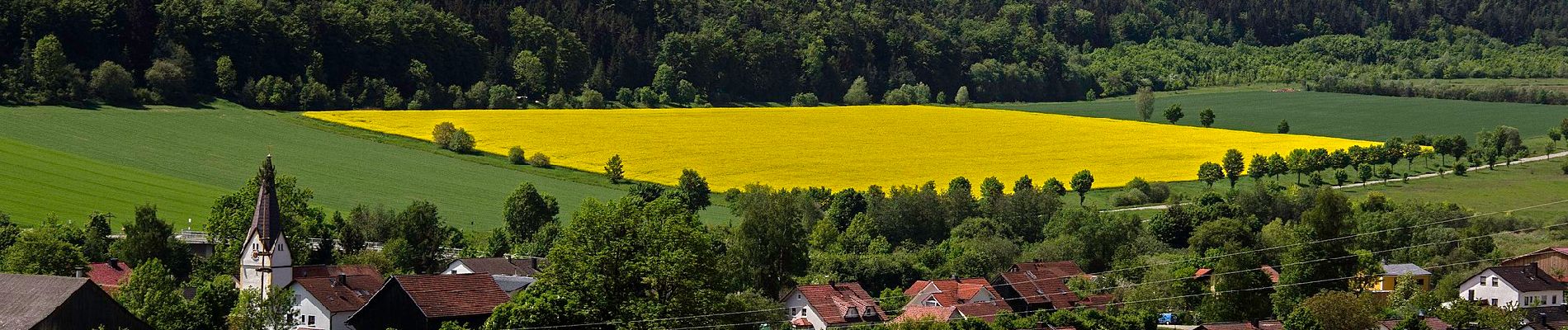 Tocht Te voet Dietfurt an der Altmühl - Moosbärnweg - Photo