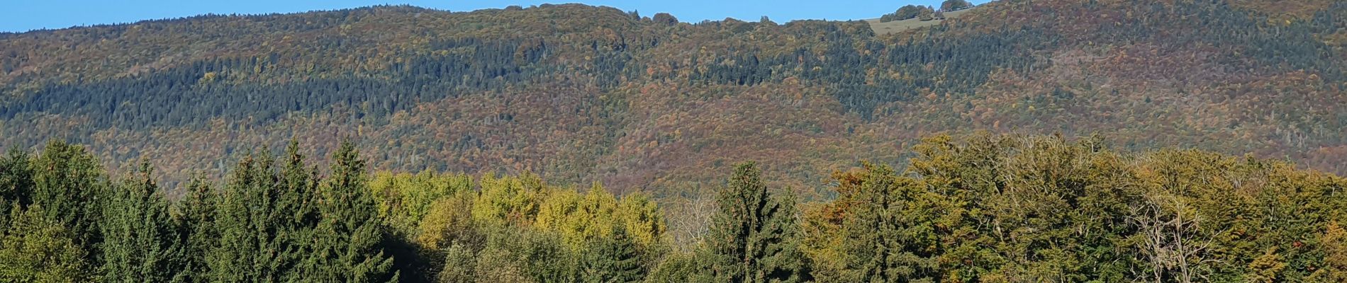 Tocht Stappen Arbusigny - Autour d'Arbusigny  - Photo