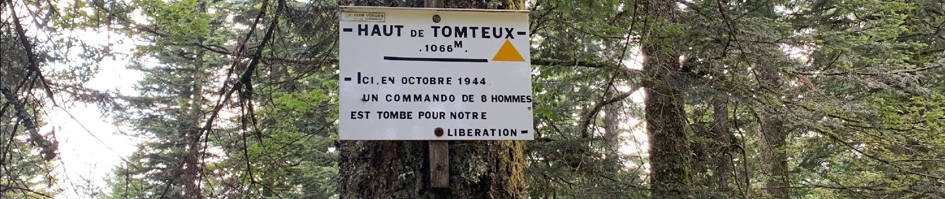 Tocht Mountainbike Cornimont - Haut de Cornimont 03/07/19 - Photo