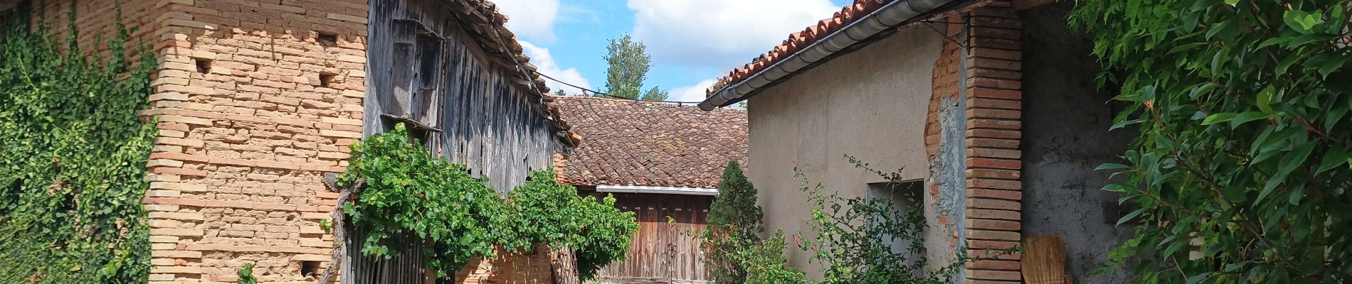 Tour Wandern Nègrepelisse - Le long de l'Aveyron  - Photo