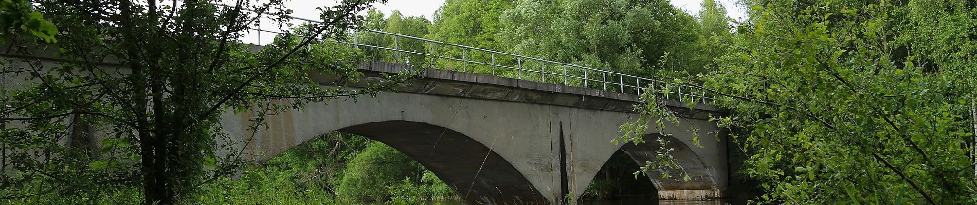 Excursión A pie Lübben (Spreewald) - Rundwanderweg Fischteiche - Photo