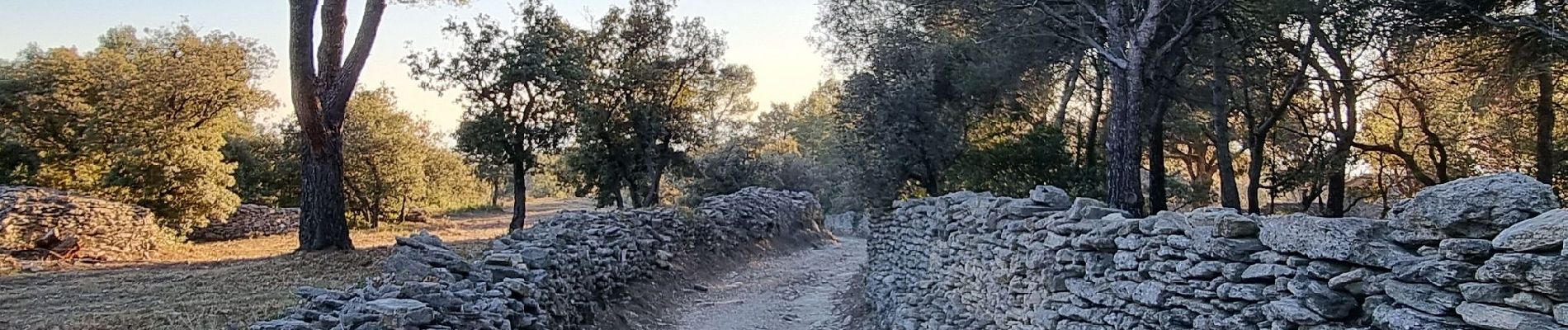 Randonnée Marche Saumane-de-Vaucluse - PF-Saumane-de-Vaucluse - Marculy - Piste des Fayardes - DD  - Photo