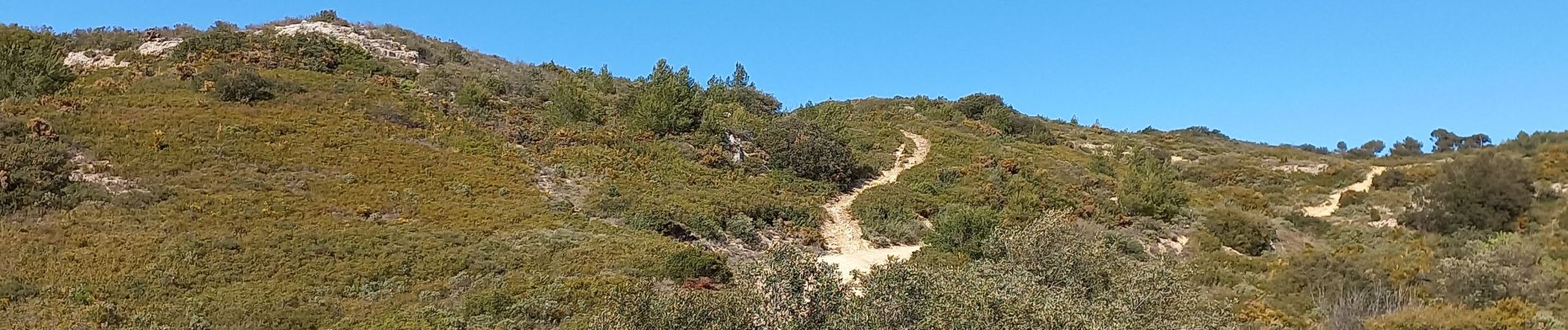 Tocht Stappen Lambesc - Chaîne des Côtes - Photo