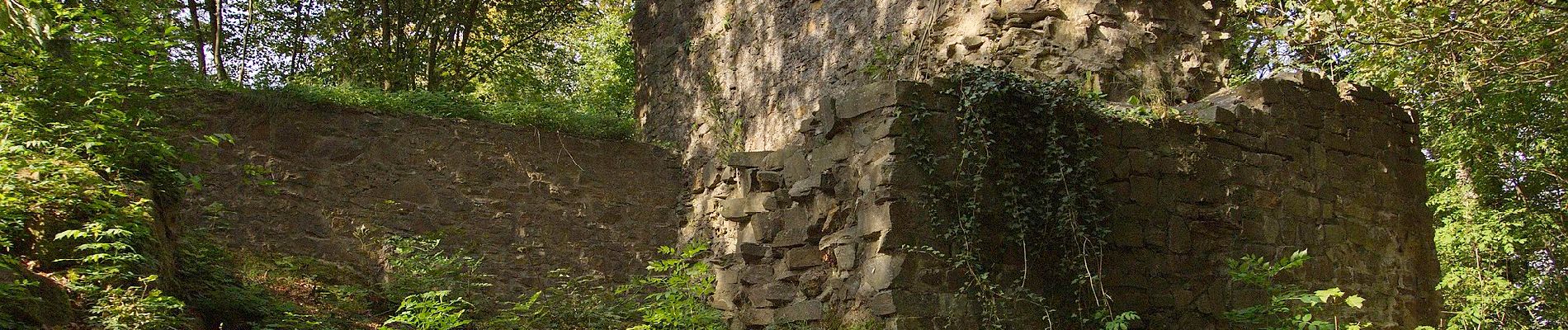 Tocht Te voet Gladenbach - [G4] - Rundweg Gladenbach - Reithalle - alter Pflanzengarten - Rachelshausen - Kehlnbach - Kehlnbachtal - Gladenbach - Photo