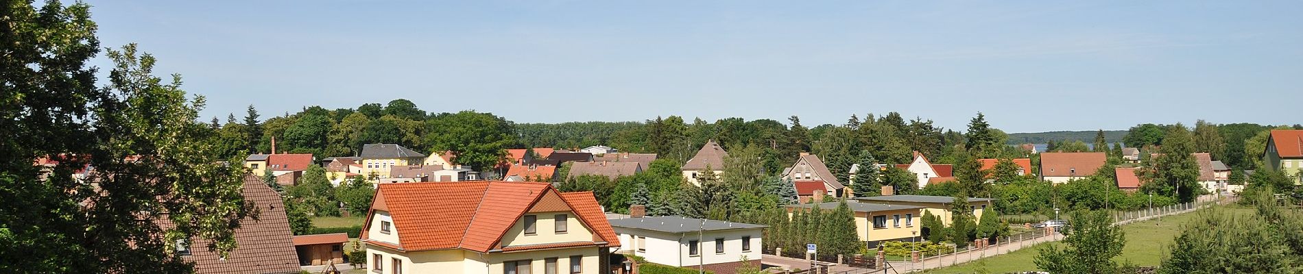 Percorso A piedi Joachimsthal - Groß Dölln - Chorin - Photo