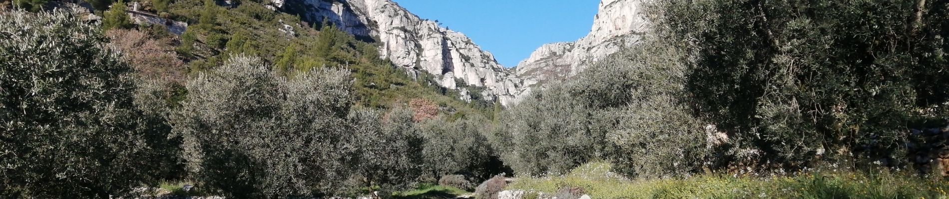 Trail Walking Roquevaire - le Garlaban par le grand vallon - Photo