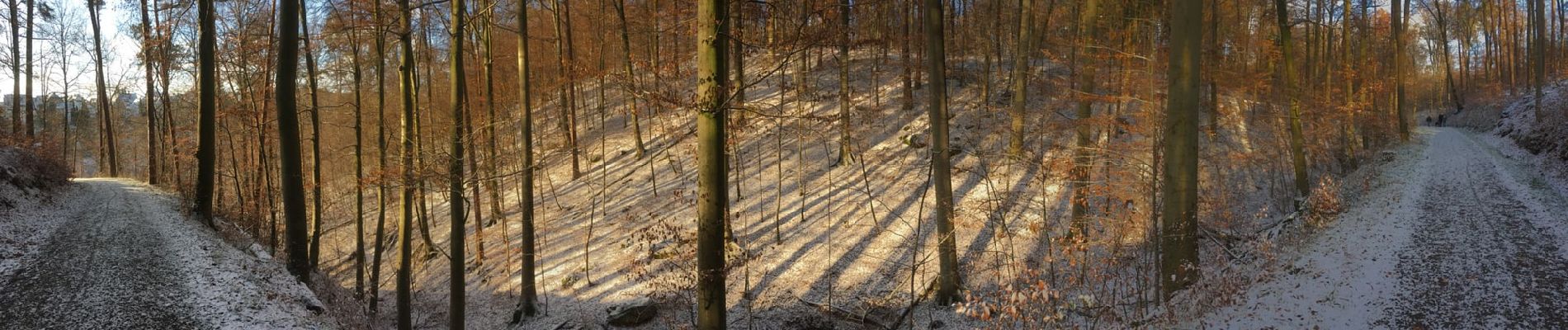 Tocht Te voet Onbekend - Stuttgarter Rundwanderweg - Photo