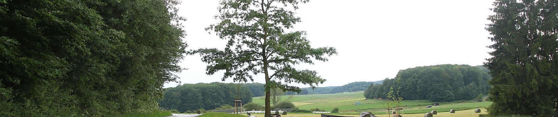 Randonnée A pied Bad Endbach - Wanderweg E12 / Bottenhorner Heide - Photo