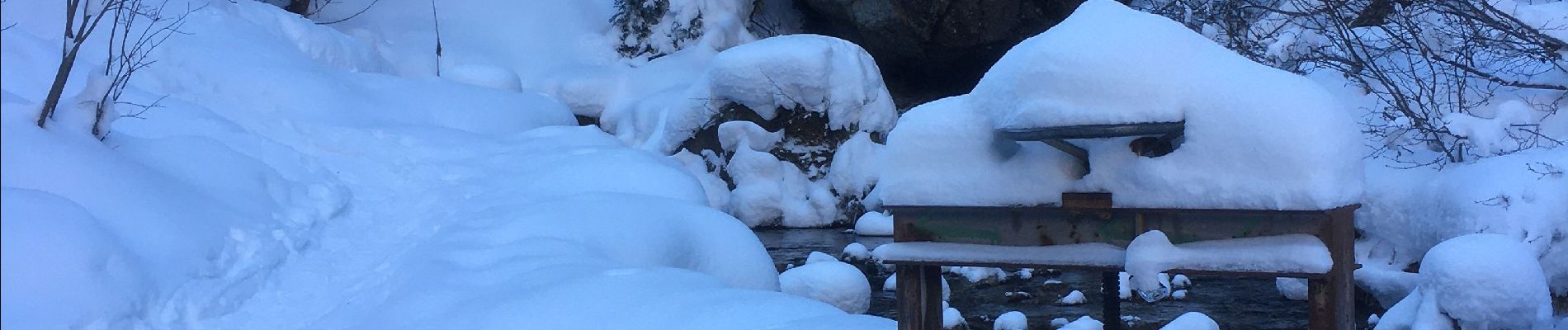 Randonnée Raquettes à neige Orsières - Champex Lac - Arpette - Champex Lac - Photo