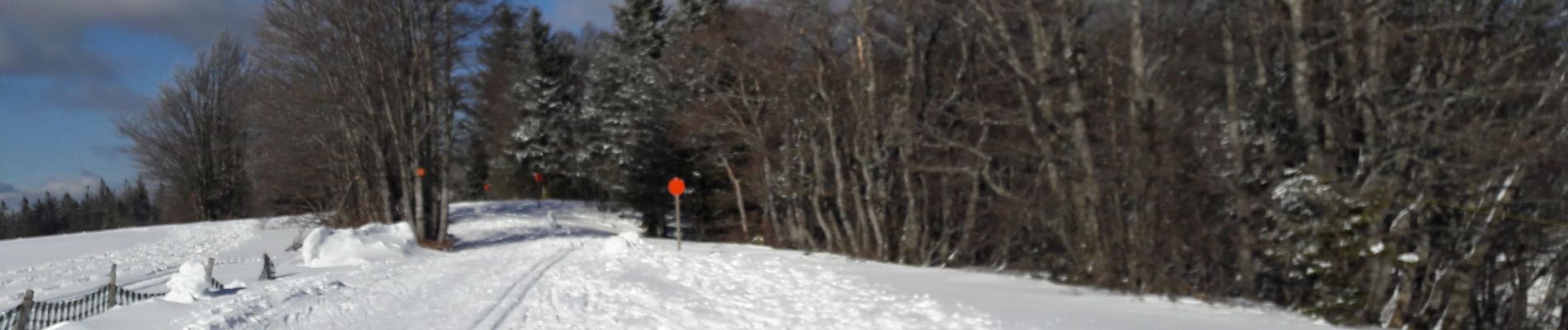 Randonnée Ski de fond La Bresse - tour des champis - Photo