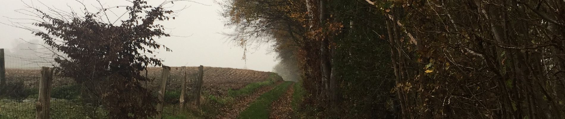 Randonnée Marche Braine-le-Comte - 80.968 Arrêts Verts : Hennuyères - Braine le Comte - Photo