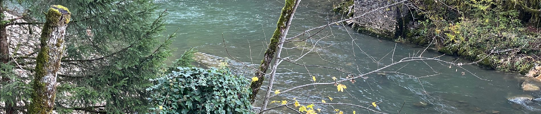 Tocht Stappen Izernore - Tout de l’Oignin - Photo