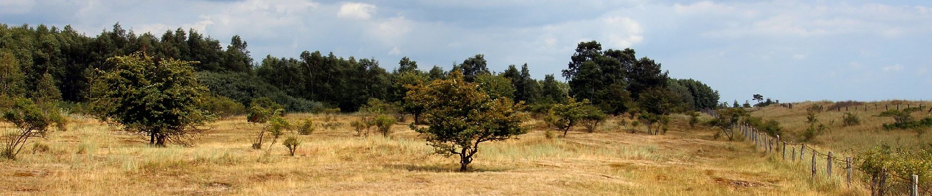 Tocht Te voet Grömitz - Klostersee-Route, Grömitz - Photo