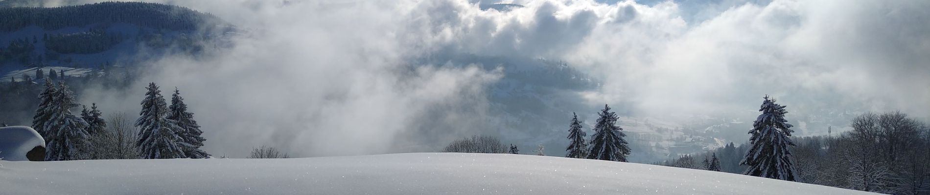 Tour Schneeschuhwandern Cornimont - raquettes 2021 - Photo