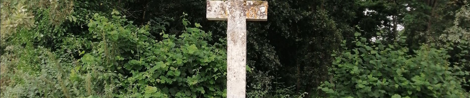 Randonnée Marche Lavoux - Lavoux - Photo