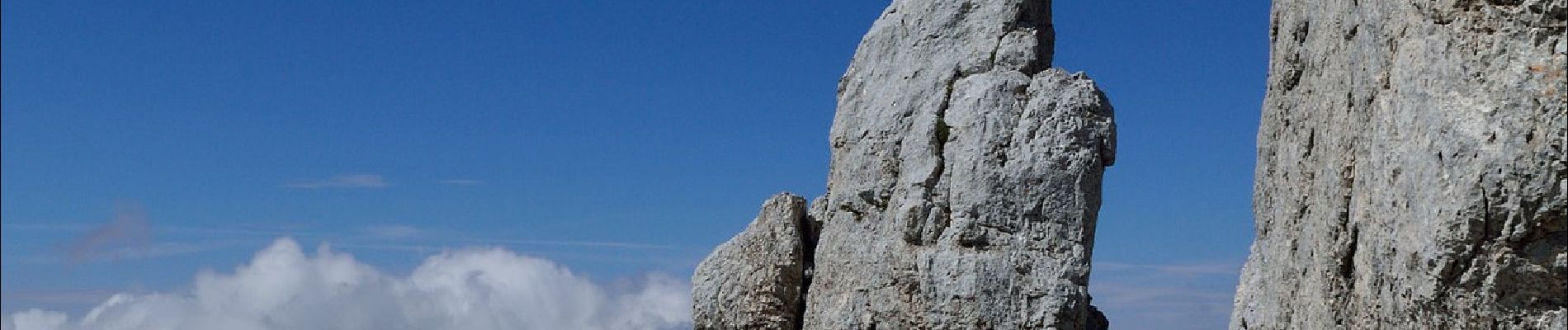 Tocht Te voet Tarvisio - Sentiero Anita Goitan - Photo