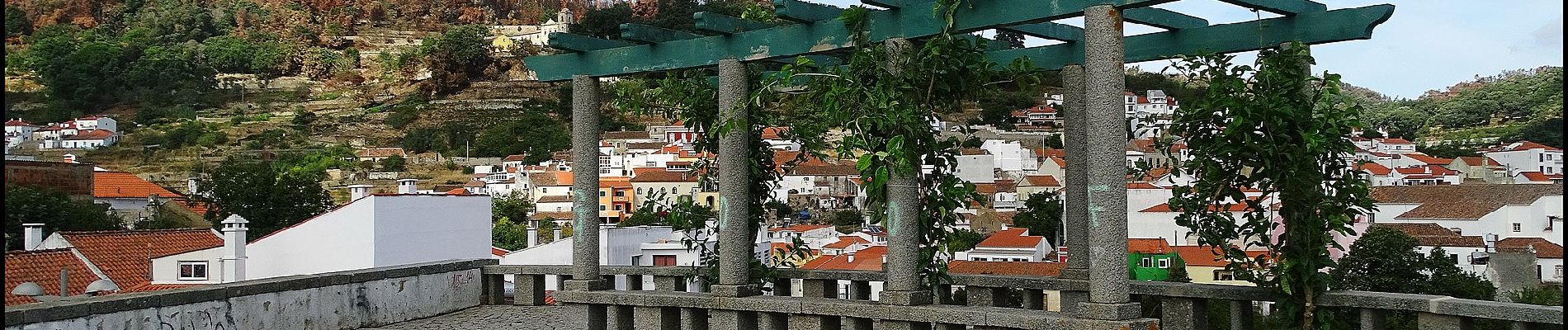 Percorso A piedi Monchique - Árvores da Vila (Rota das Árvores Monumentais) - Photo
