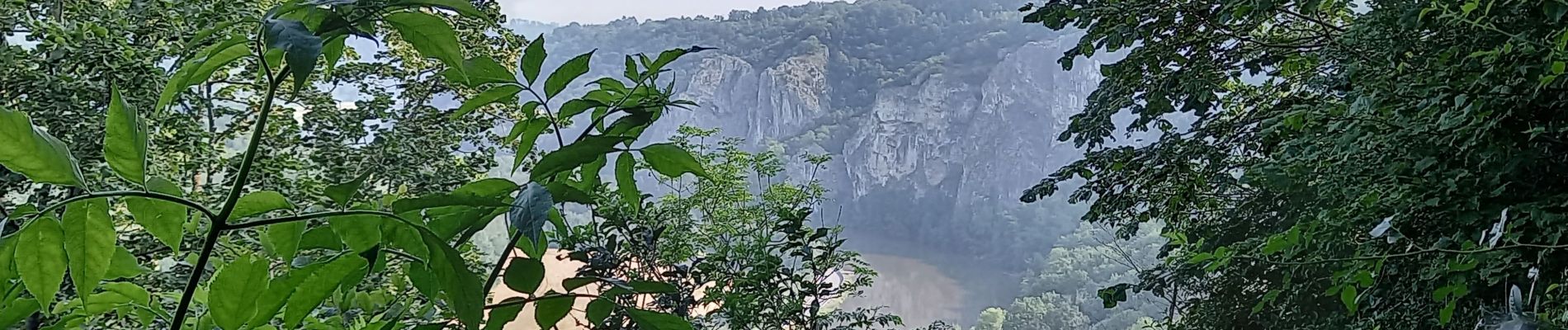 Tour Wandern Dinant - Gaspard 7 - Photo