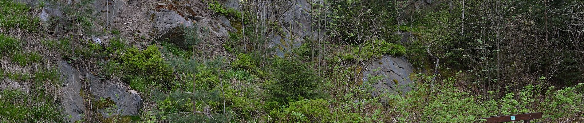 Percorso A piedi Thierstein - Wanderweg Selb-Thierstein - Photo