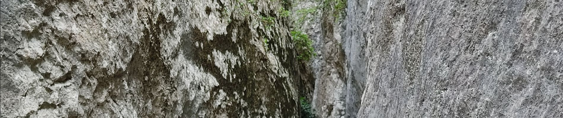 Trail Walking Cheval-Blanc - gorge du regalon - Photo