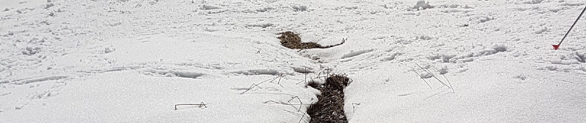 Tour Schneeschuhwandern Autrans-Méaudre en Vercors - autrans1 - Photo