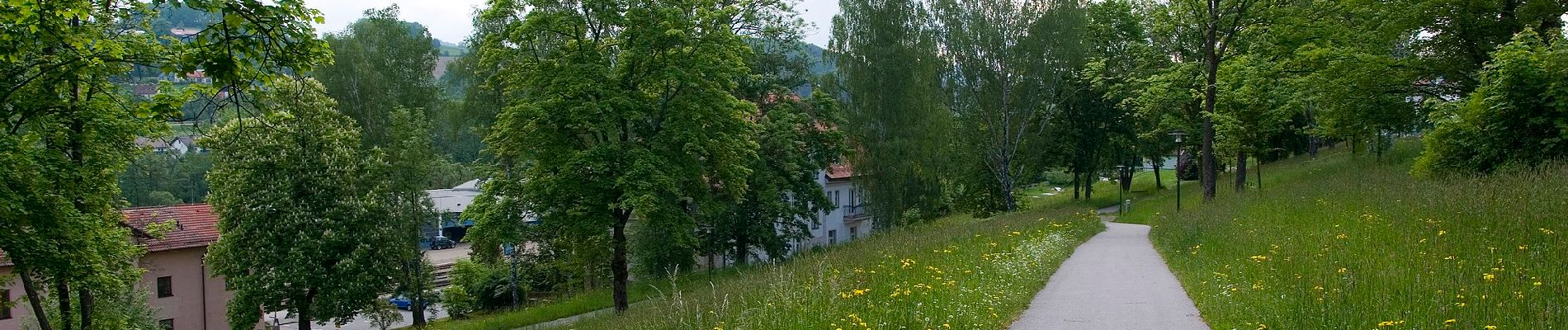 Trail On foot Viechtach - Viechtach Rundweg Nr. 4 - Photo