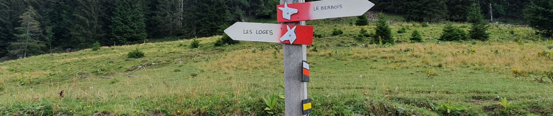 Tocht Stappen Bellecombe - La Guinette Cret Aux merles - Photo