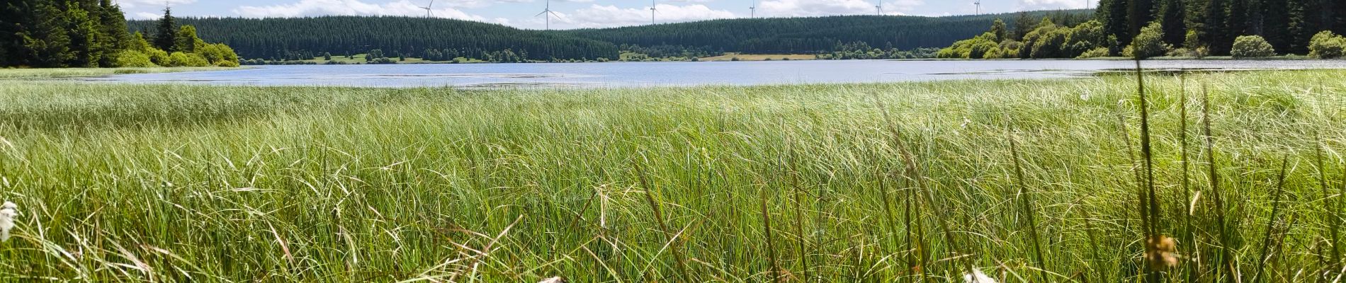 Tour Wandern Monts-de-Randon - Charpal - Photo