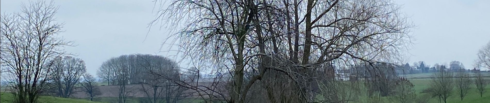 Randonnée Marche Ottignies-Louvain-la-Neuve - Promenade de Ceroux-Mousty - Photo