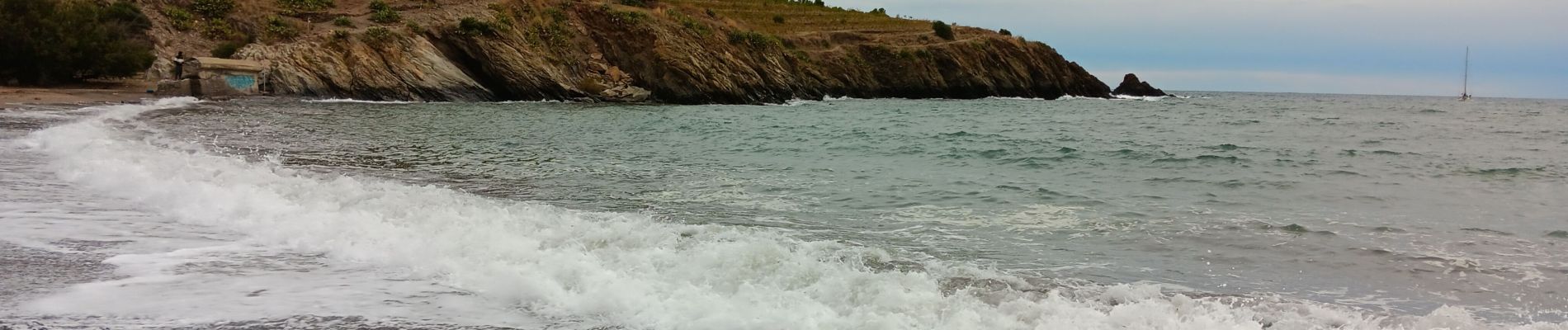 Randonnée Marche Port-Vendres - anse des paulliles - cap bear via les vignes retour par le chemin côtier - Photo