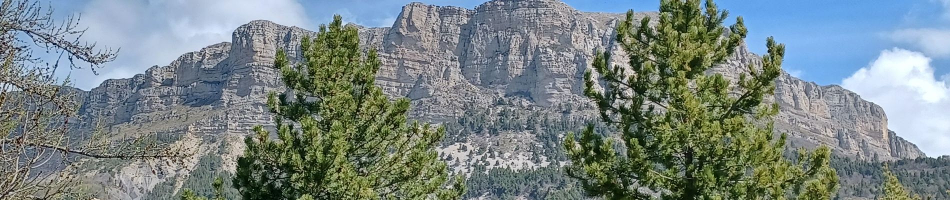 Tocht Stappen Le Castellard-Mélan - AUTHON , Col de Font-elles,  Tour d Ardouin o l - Photo